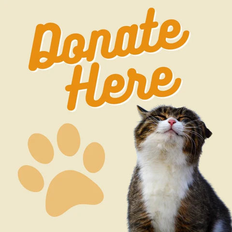 Feed a Rescue Cat